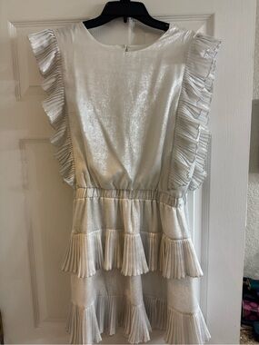 Shimmery Pleated Ruffle Mini Dress - Silver Metallic